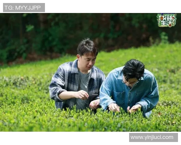 专访黄磊:探寻篮球成功背后的秘密与心路历程